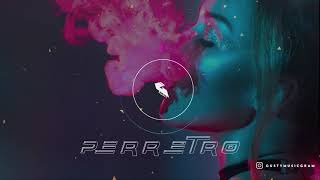 PerreTRo (Prod.Gusty) | Pista De Reggaeton 2020