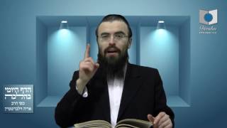 הדף היומי בהלכה סימן ר"י סעיף ב' עד סוף הסימן - שיעור 533