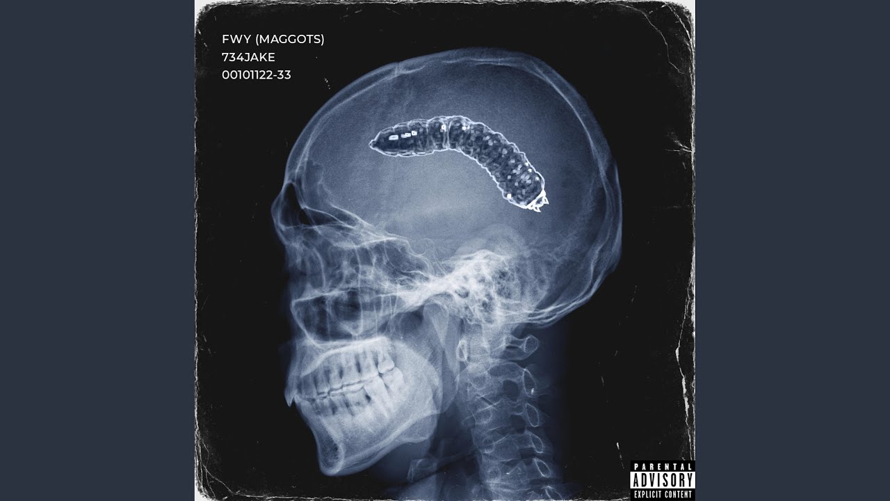 Watch FWY (Maggots) on YouTube Watch FWY (Maggots) on YouTube