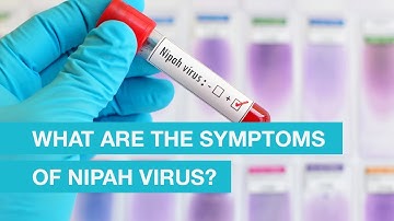 What are the Symptoms of Nipah Virus?