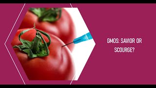 Gmos Unveiled The Good, The Bad, & The Historical