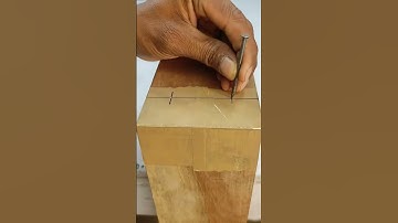 The Art of Woodworking: From Tree to Masterpiece