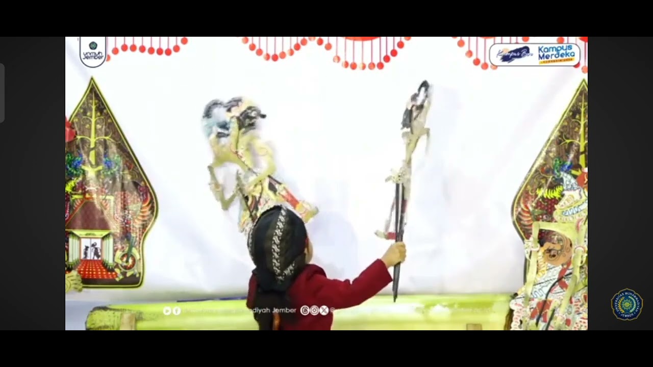 Dalang cilik Viral, Adhideva tampil di acara PW MU, #wayangkulitindonesia #jemberkeren #jember24jam 