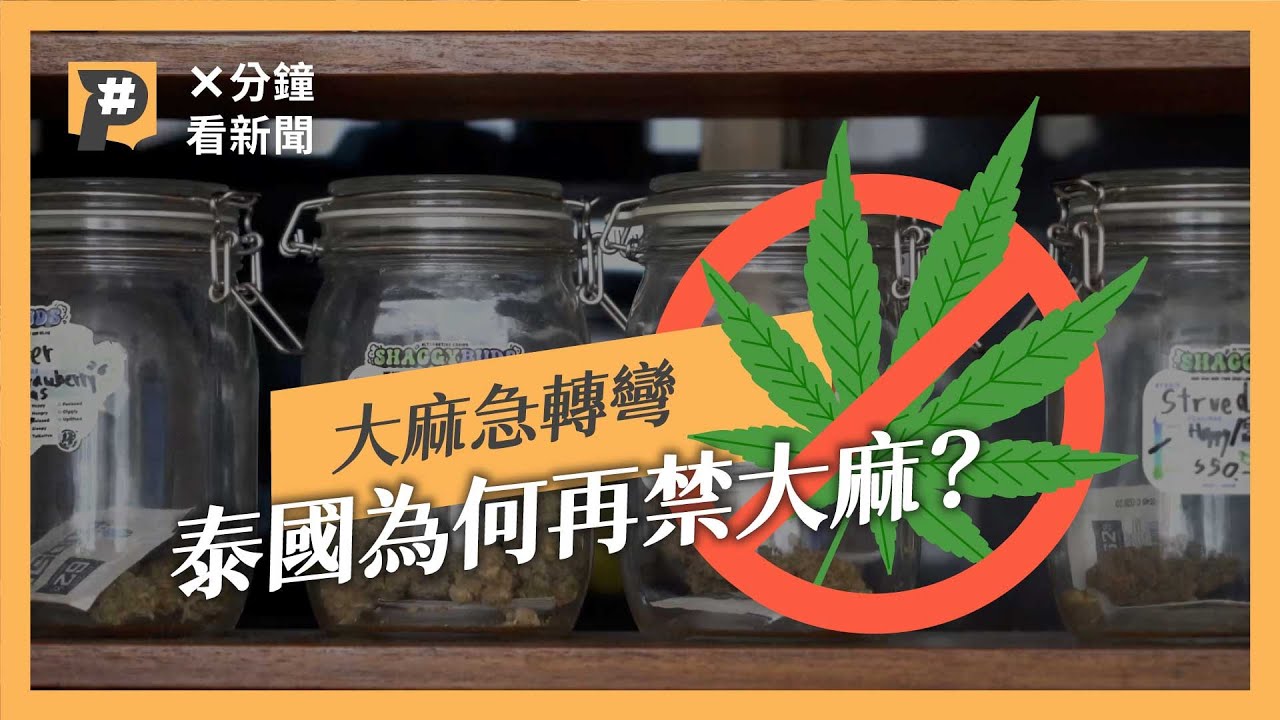 泰國大麻觀光化台灣客是主力之一 開放2年為何重下禁令？｜公視P# 新聞實驗室