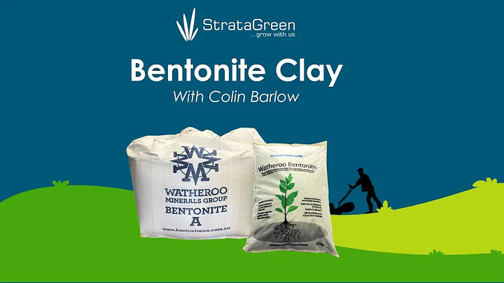 Improving Sandy Soil with Bentonite Clay