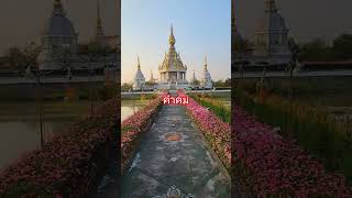 คำคม #flowers #lifeisbutadream #love #pasta #ekmotahathighumechala #nature #travel