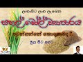 Rice mill business in sinhala  rice mill business in sri lanka  rice mill business idea sinhala