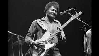 Albert Collins Style Blues Guitar Backing Track In D