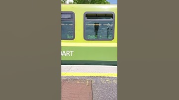 DART in Bayside #metrodublin #shorts