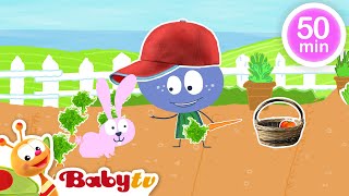 Huerto 🍅​🥒​+ Más mejores episodios y canciones para niños | Vídeos para niños pequeños @BabyTVSP