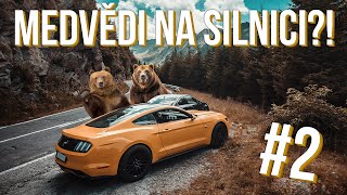 Medvědi na silnici?! | #Transfagarasan 2/2