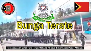Lagu yg Viral di Tik Tok -  BUNGA TERATE | Versi PSHT Timor Leste ( Lagu   Lirik )