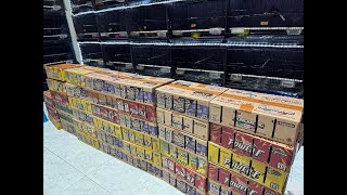 TERGRESS DAN TERBARU TROTOL TRAH 27cm MURAI BATU RING PETERNAK 4-3-2026