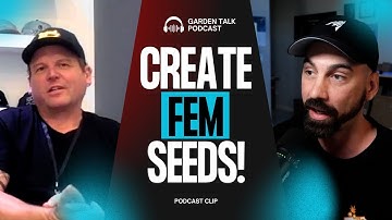 How to Make Feminized Seeds (As Taught by a Pro Breeder)