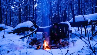 16 дней одиночного кемпинга - Зимние лагеря в диком лесу 2024 года