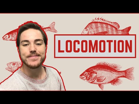 Ichthyology Lesson 5 - Fish Locomotion