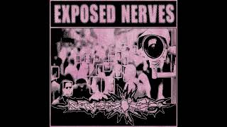 Bruce Lee // Exposed Nerves - Split (2024)