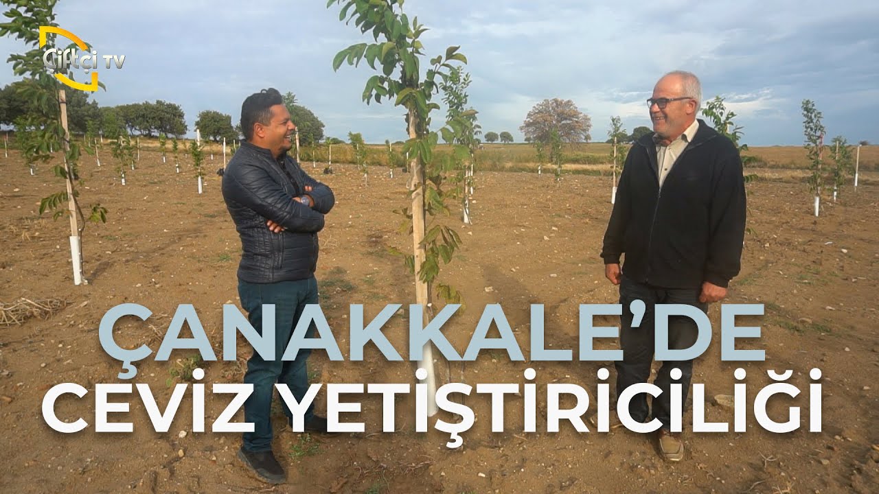 Çanakkale'de Ceviz Yetiştiriciliği - Çetin Ceviz