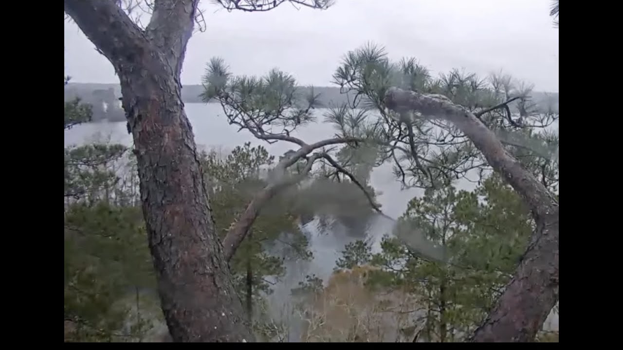 White Pelicans On Kincaid LakeKNFWinter 2023 YouTube