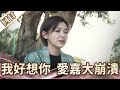 《好戲回甘》愛的榮耀 EP73 我好想你  愛嘉大崩潰