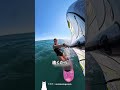 海のど真ん中にいてはいけないものの正体