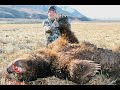 10 1/2FT Coastal Brown Bear hunt... MASSIVE BEAR!