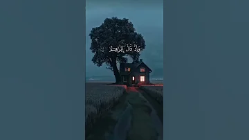 القارئ علي نمير 