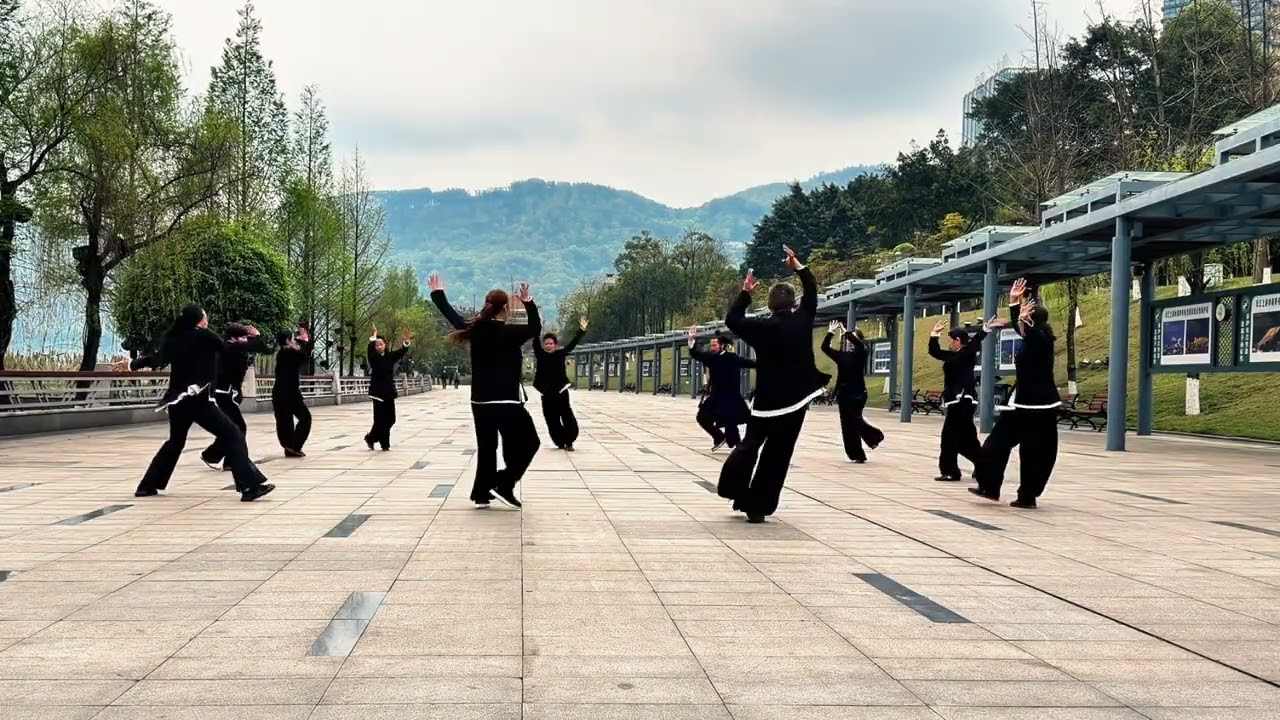 八卦掌八卦掌（又稱遊身八卦掌、八卦連環掌）是中國著名的內家拳三大名