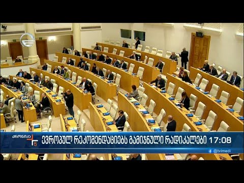 ევროპულ რეკომენდაციებს გამიჯნული რადიკალები