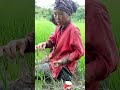 Changham🌾boni Last 2ñd day Wit Kanu,Kapa,Kanubul,Kapilam25 Sept.Dt/6 Sat.