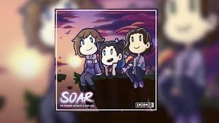 Infowler & Miss Lina - Soar (Akosmo Remix)