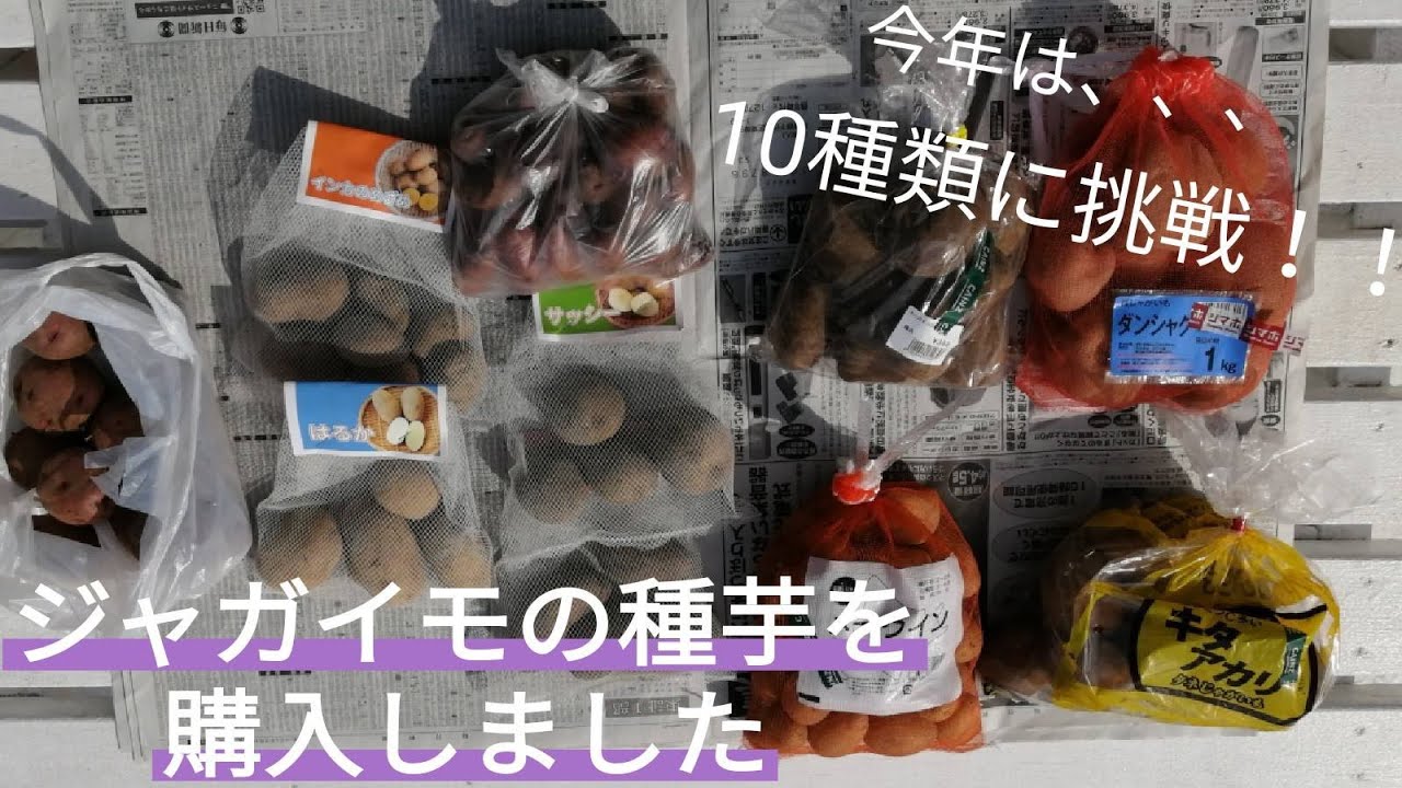 hq720.jpg?sqp=-