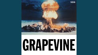 Grapevine - Tiësto