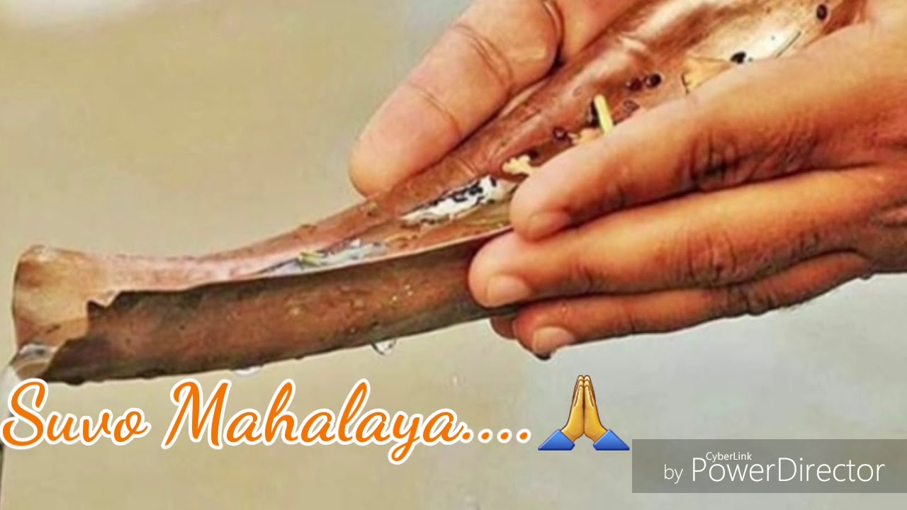 Mahalaya and its Significance  Start of Devi paksha  Saipayan Ghosh Cover