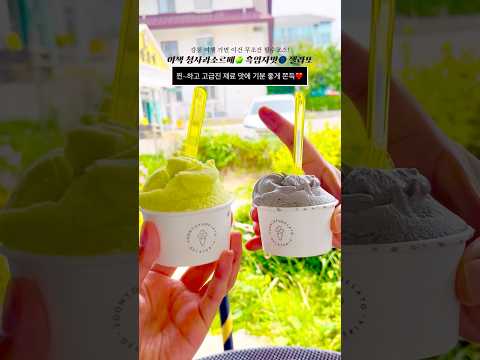 상큼함 청사과🍏 고소한 흑임자🌑 젤라또 강릉필수 디저트 추천!