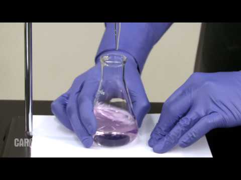 Setting Up And Performing A Titration