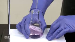 Setting up and Performing a Titration screenshot 5