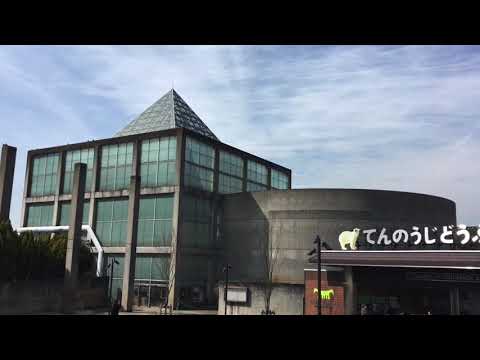旅探 たびたん jtb大阪天王寺店 大阪市天王寺区 周辺施設 口コミ 写真 動画 旅探 たびたん jtb大阪天王寺店 大阪市天王寺区 周辺施設 口コミ 写真 動画