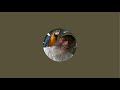 Michael Zinn / Михаил Цин is live!