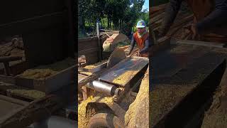 cepat merajang kayu jowar‼️sérkel rakitan