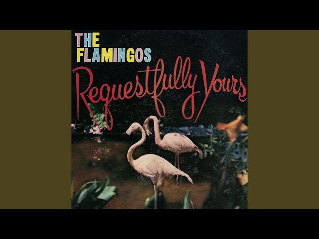 Flamingos - In The Still Of The Night