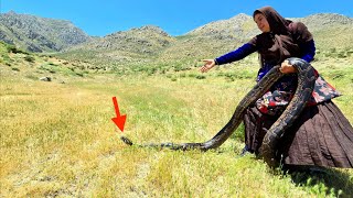 🏔️🔥 Giant dragon in the mountains and dead sheep🔥🐉: The scariest moment of Kulthum's life