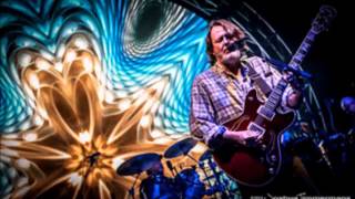 Video thumbnail of "Stop Go - Widespread Panic"