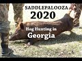 South Georgia Hog Hunting - Saddlepalooza 2020