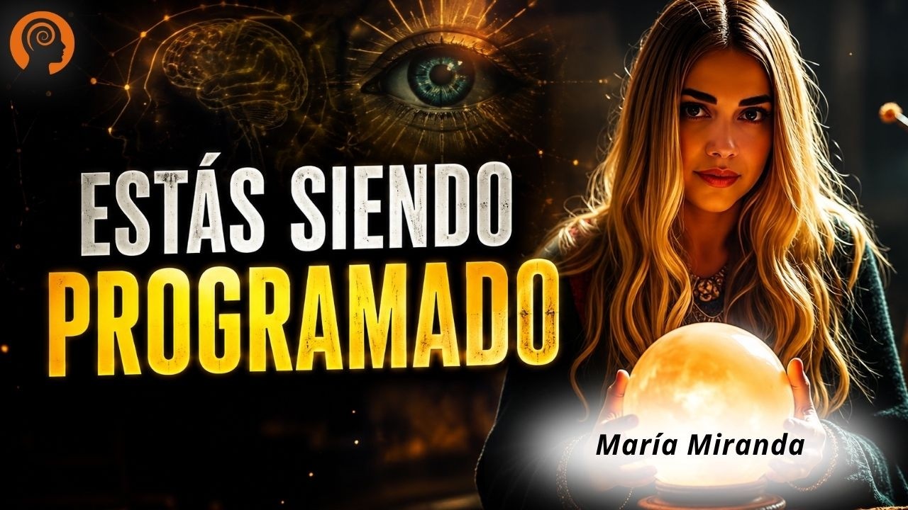 www.youtube.com