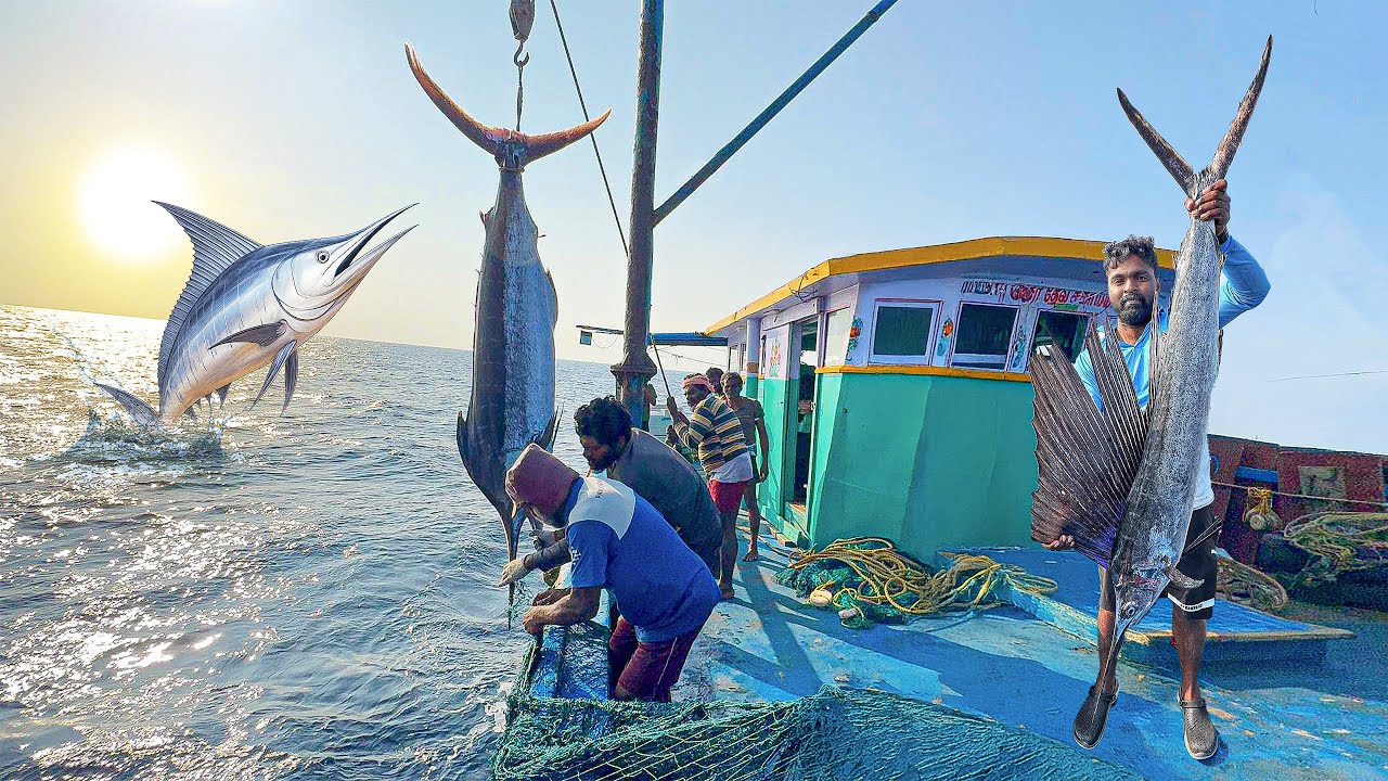 Great! We Traveled For Long Days In The Deep Sea and Caught Tuna Fishes |Day 10 To 12| S06 | Part-04