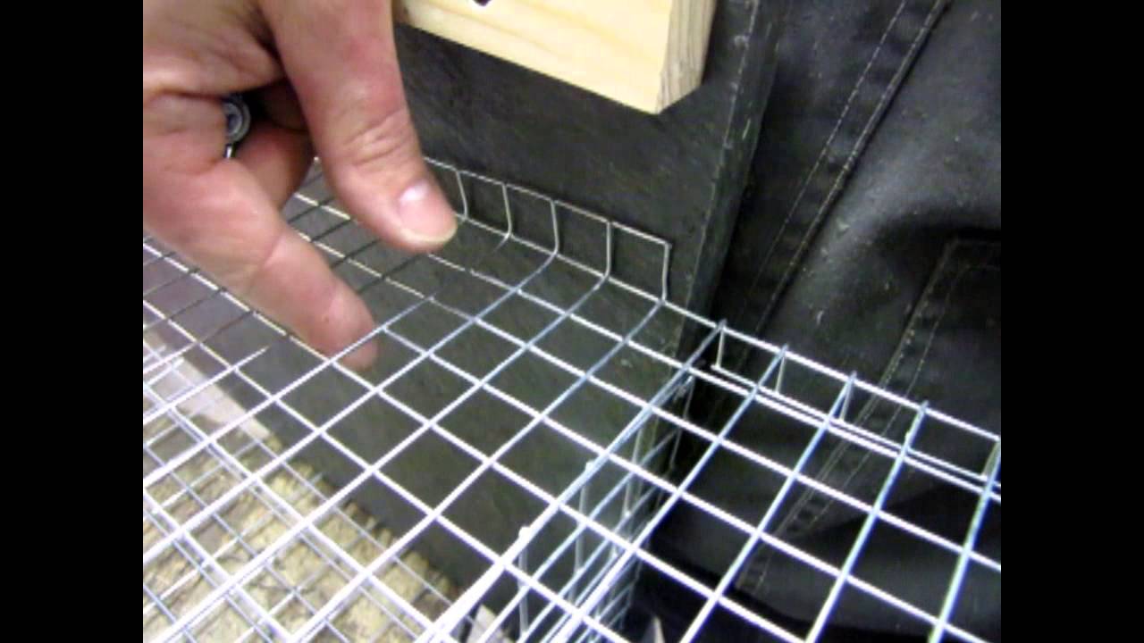 Křepelka japonská - postup při montáže klece