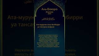 2:44 Сура 2 Аль- бакара (Корова) Аят 44 с транскрипцией rus Вот что говорится в Коране о яхудах 📜