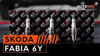Elementare Reparaturen für Skoda Fabia 6Y5 , die jedem Fahrzeuglenker bekannt sein sollten
