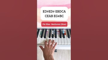 Thumbnail of Für Elise - Beethoven (SLOW Piano Tutorial) #fürelise #pianotutorial #pianobeginner